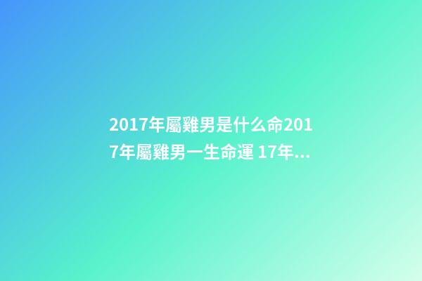 2017年屬雞男是什么命2017年屬雞男一生命運 17年陽歷7月24號酉時出生的的男孩一生才運命運如何？-第1張-觀點-玄機派